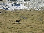 Al Rifugio Benigni con la prima neve il 5 ottobre 08  - FOTOGALLERY